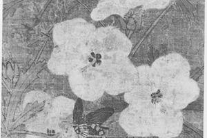 蜀葵蝶图