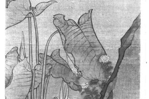 慈菇蜻蜒图