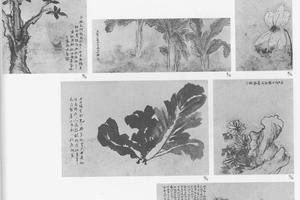 花卉图册