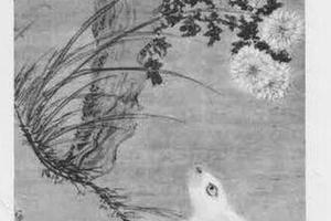 菊兔图