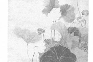 荷花图