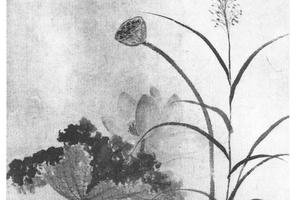 荷花芦草图
