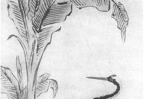 蕉荫鹤立