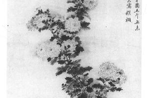 菊花图