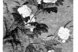 花鸟图