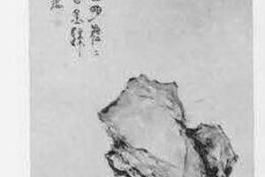 大树石图