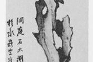 云根图