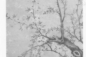 桃花杨柳