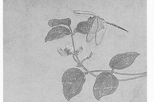 蜻蛉图册页