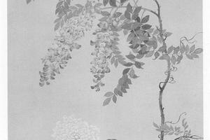 藤花芍药图