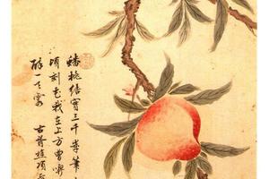 蟠桃图