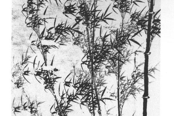 风竹