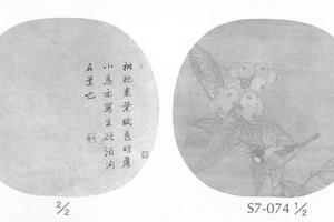 枇杷小鸟图团扇