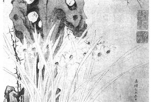 梅花水仙