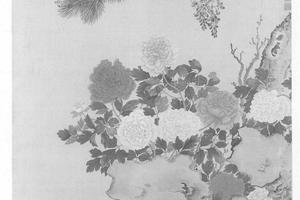 花卉