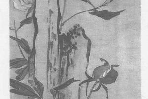 芍药图