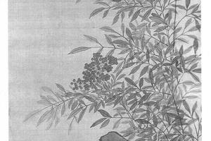 天竺水仙