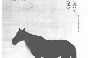 致远骊图