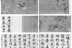 荔枝图
