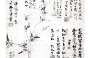 桃花幽鸟