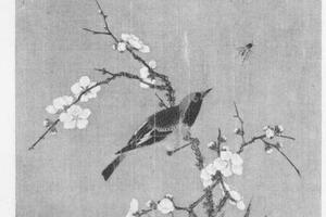 花鸟图