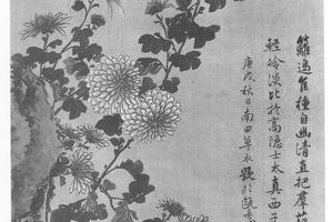 画菊花