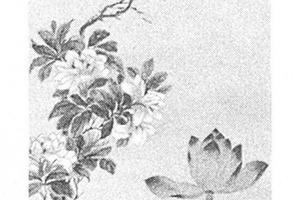 荷花图