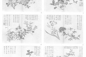 夏花十帧