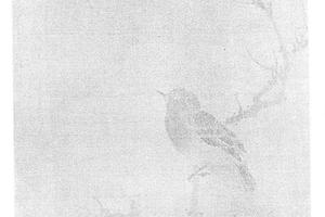 花鸟图册页