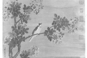 花鸟写生