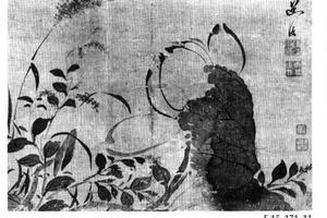 花卉图