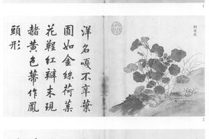海西集卉图