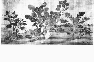 五蔬图