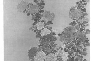菊花