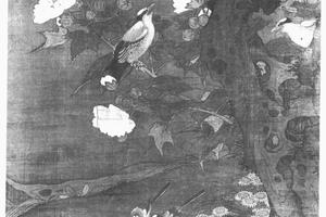蓉雀