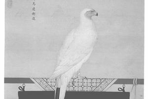 玉花鹰图
