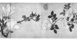 花卉