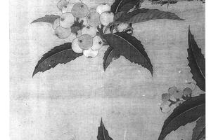 枇杷珍禽