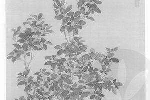 桂花