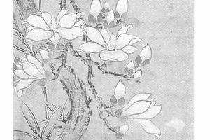 玉棠富贵