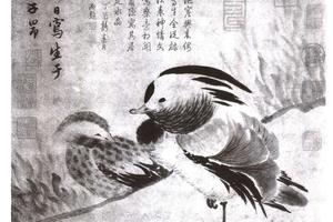 汀草文鸳图