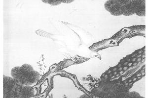 白海青图