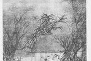 元旦试题图