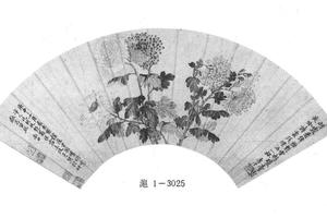 菊花图