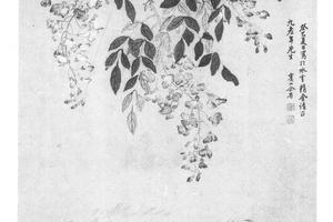 紫藤游鱼图
