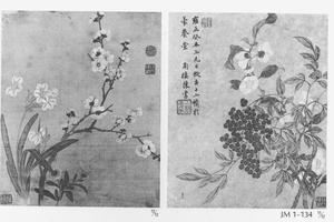 花卉图册