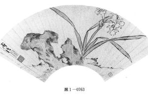 百合花图