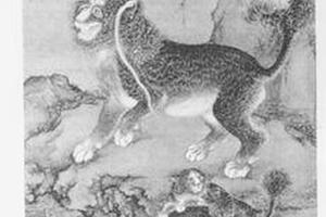 狮子图