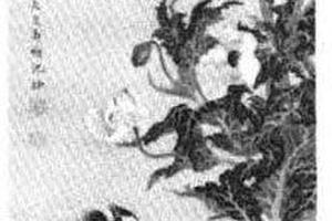 芥子犬图