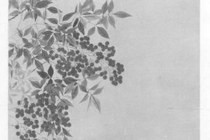 蜡梅天竺山茶图